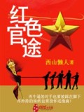 風流官途小說封面