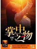 掌中之物小說封面