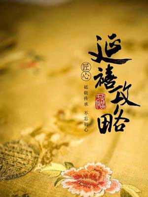 延禧攻略小說封面
