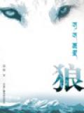 狼群小說封面