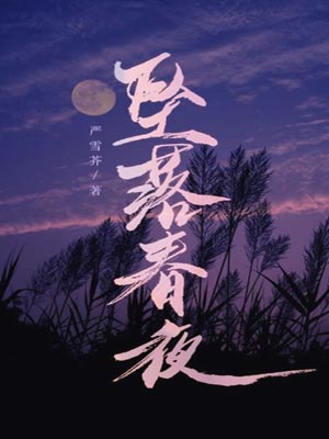 墜落春夜小說封面