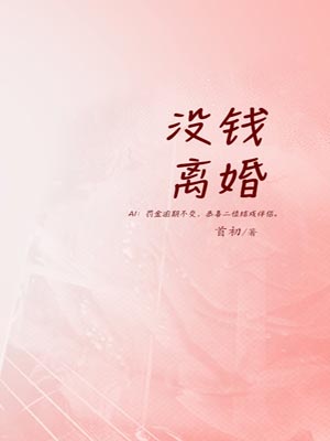 沒錢離婚小說封面