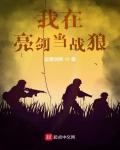 我在亮劍當戰狼小說封面