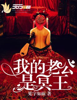 我的老公是冥王小說封面