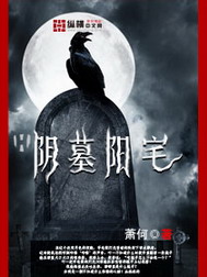 陰墓陽宅小說封面