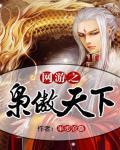 網遊之梟傲天下小說封面
