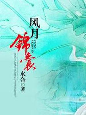 錦囊妙錄