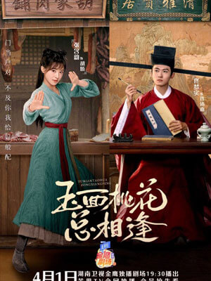 屠戶家的小娘子(玉面桃花總相逢)小說封面