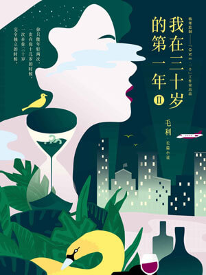 我在三十歲的第一年II小說封面