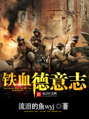 鐵血德意志小說封面