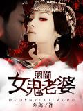 我的女鬼老婆小說封面