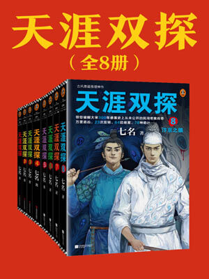 天涯雙探小說封面