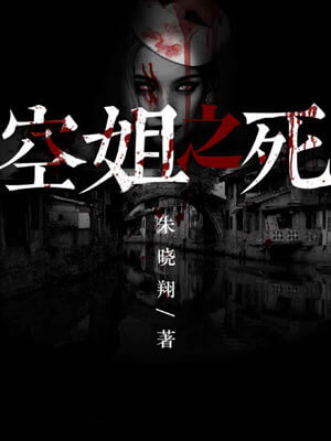 空姐之死小說封面