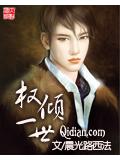 權傾一世小說封面