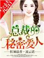 總裁的秘密愛人小說封面