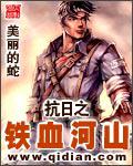 抗日之鐵血河山小說封面