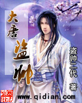 大唐盜帥小說封面