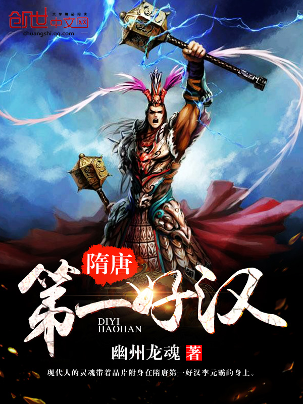 隋唐第一好漢小說封面