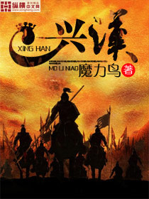 興漢小說封面
