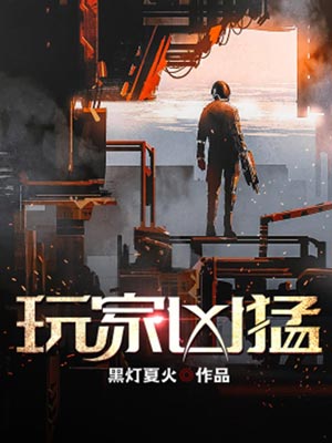 玩家兇猛小說封面