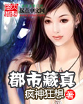 都市藏真小說封面