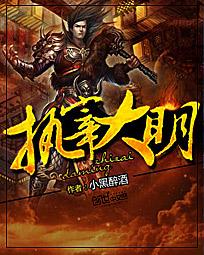 執宰大明小說封面