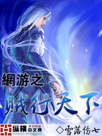 網遊之賊行天下小說封面