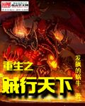 重生之賊行天下小說封面