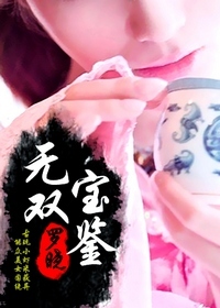 無雙寶鑑小說封面