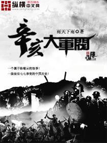 辛亥大軍閥小說封面