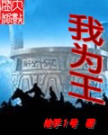 我為王小說封面