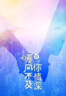 暖風不及你情深小說封面