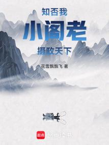 知否：我，小閣老，攝政天下