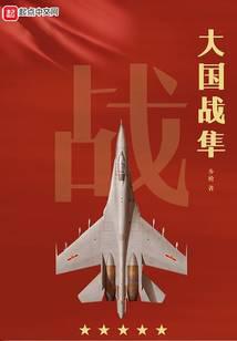 大國戰隼小說封面