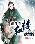 奮鬥在紅樓小說封面