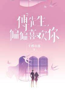 傅先生，偏偏喜歡你小說封面