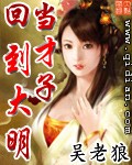 回到大明當才子小說封面