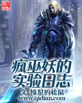 瘋巫妖的實驗日誌小說封面