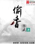 偷香小說封面