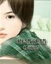 將錯就錯小說封面