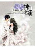 我的神仙老婆小說封面