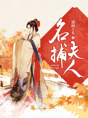 名捕夫人