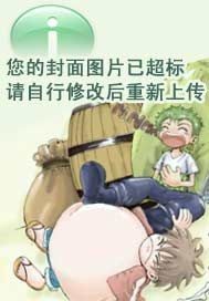 藍茵紀事小說封面