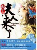 閣主,夫人來了小說封面