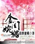 金閨婉媚小說封面