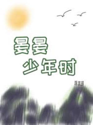 晏晏少年時小說封面