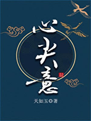 心尖意小說封面