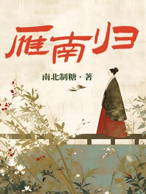 雁南歸小說封面