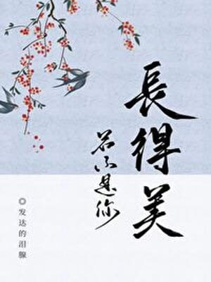 若不是你長得美小說封面