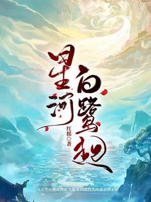 星河白鷺起小說封面